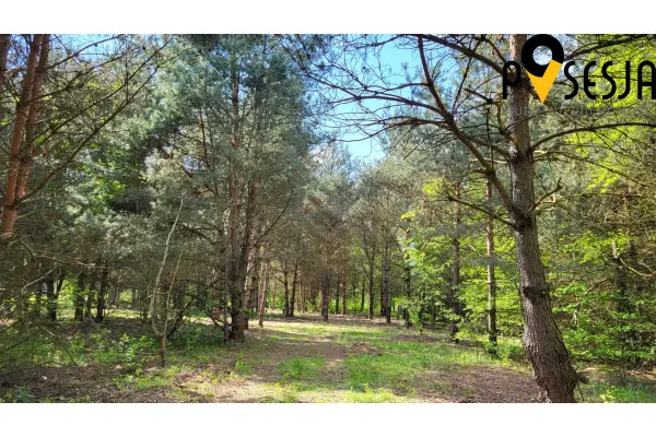 piaseczyński, Piaseczno, Mieszkowo, Atrakcyjna działka budowlana 1700m2 pod Piasecznem