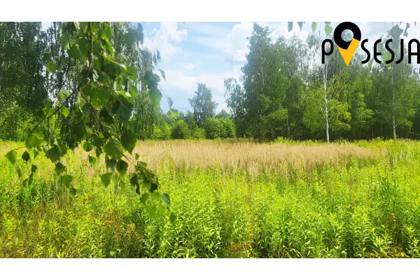 Gołków, Piaseczno, Działka na sprzedaż