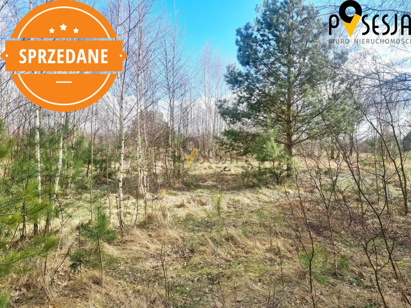 mazowieckie, piaseczyński, Prażmów, Gabryelin, Polna, Budowlana  1000m2 Gabryelin, stacja  PKP